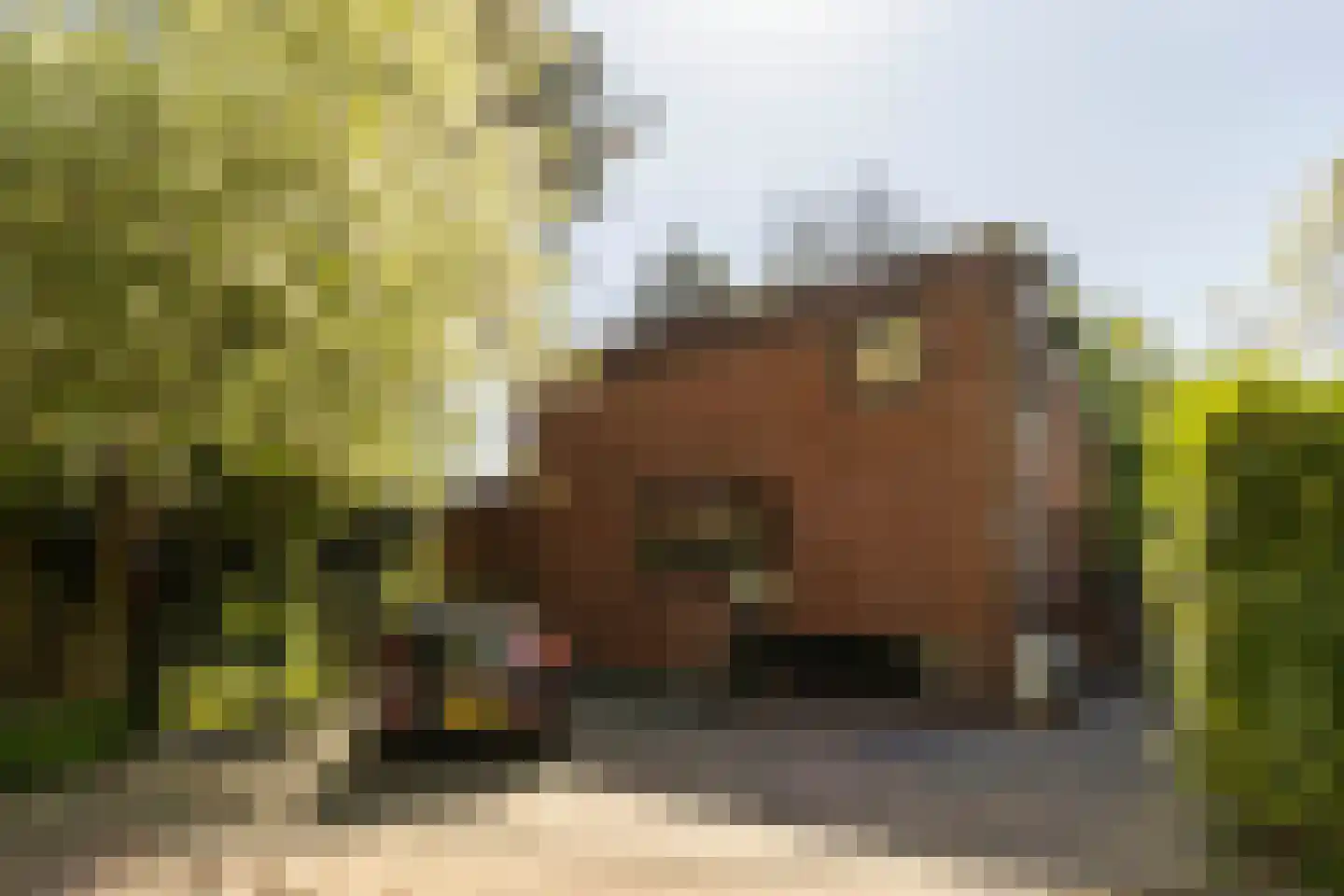 Hilverbeekstraat 32 Amsterdam thumbnail 41