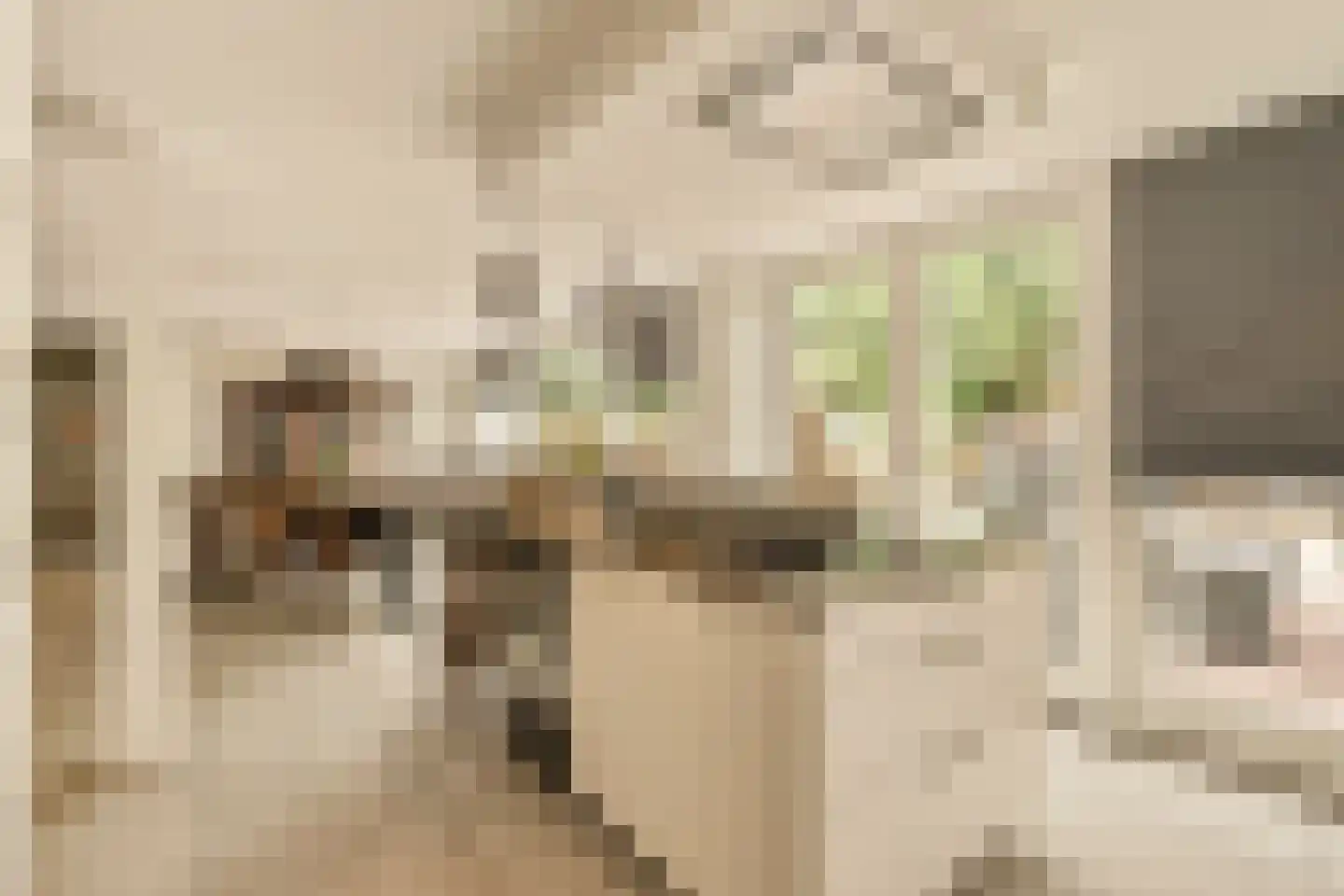 Hilverbeekstraat 8 Amsterdam thumbnail 16