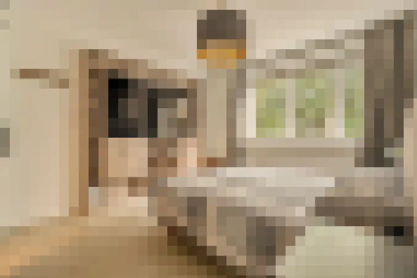 Hilverbeekstraat 8 Amsterdam thumbnail 39