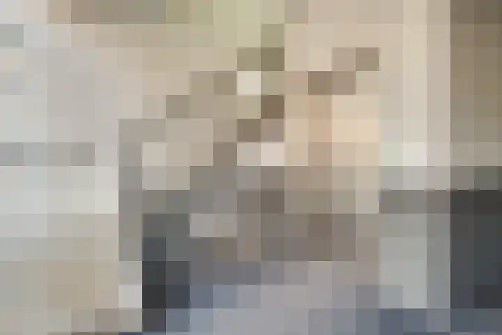 Hilverstraat 19 Hilvarenbeek thumbnail 6