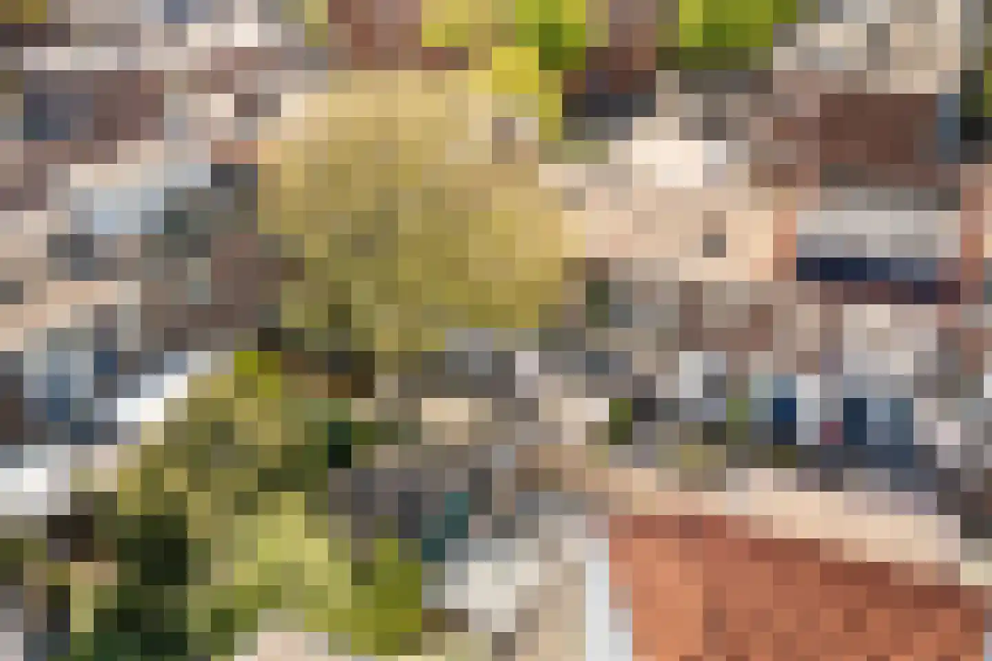 Hilversumsestraat 125 Den Haag thumbnail 43