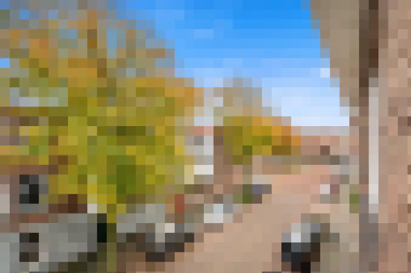 Hilversumsestraat 13 Den Haag thumbnail 10
