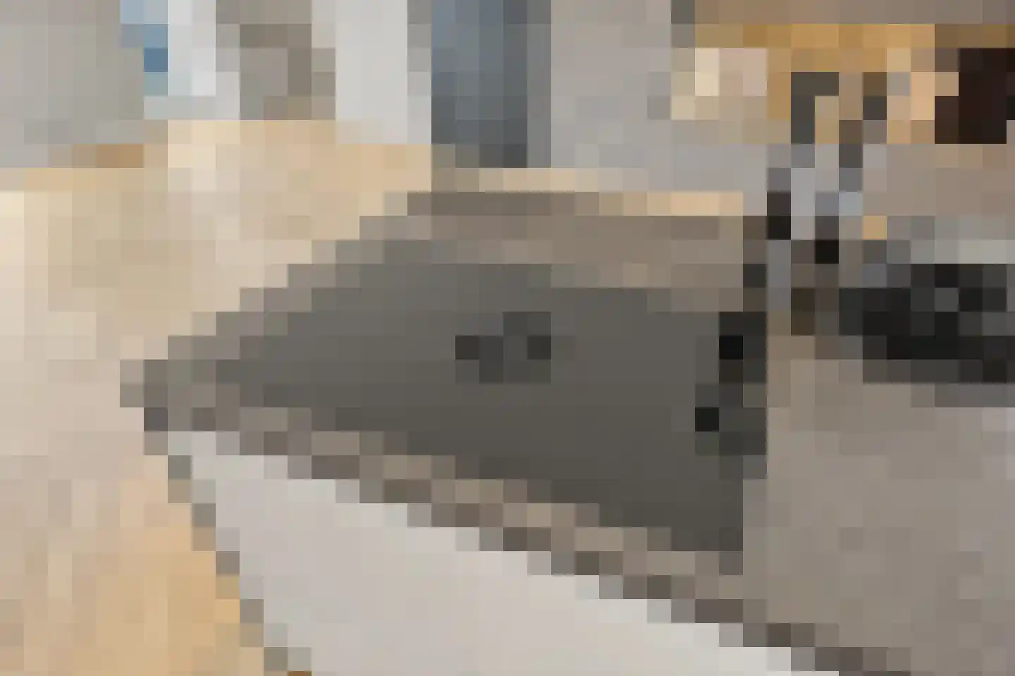 Hilversumsestraat 41 Den Haag thumbnail 17