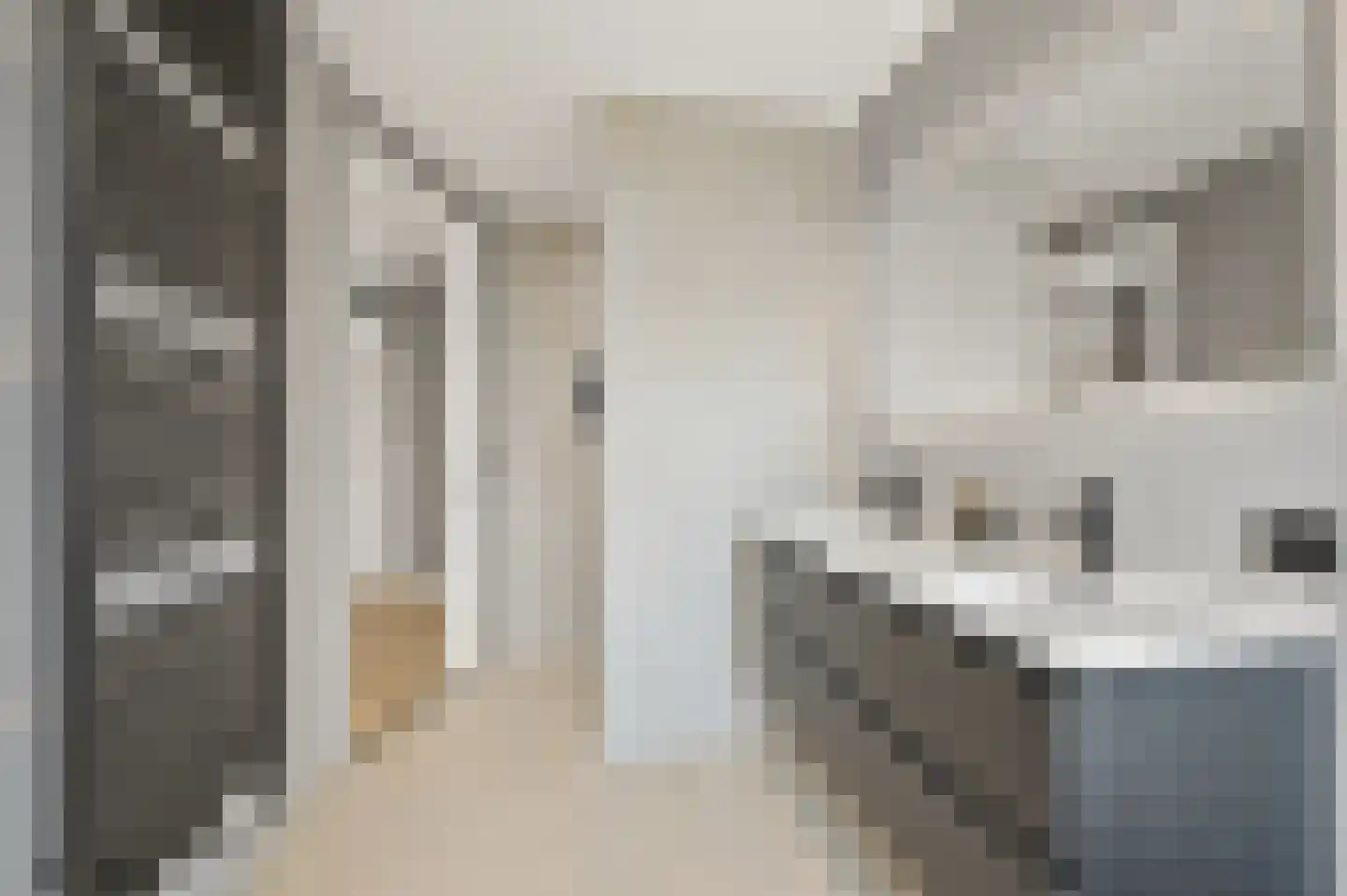 Hilversumsestraat 41 Den Haag thumbnail 27