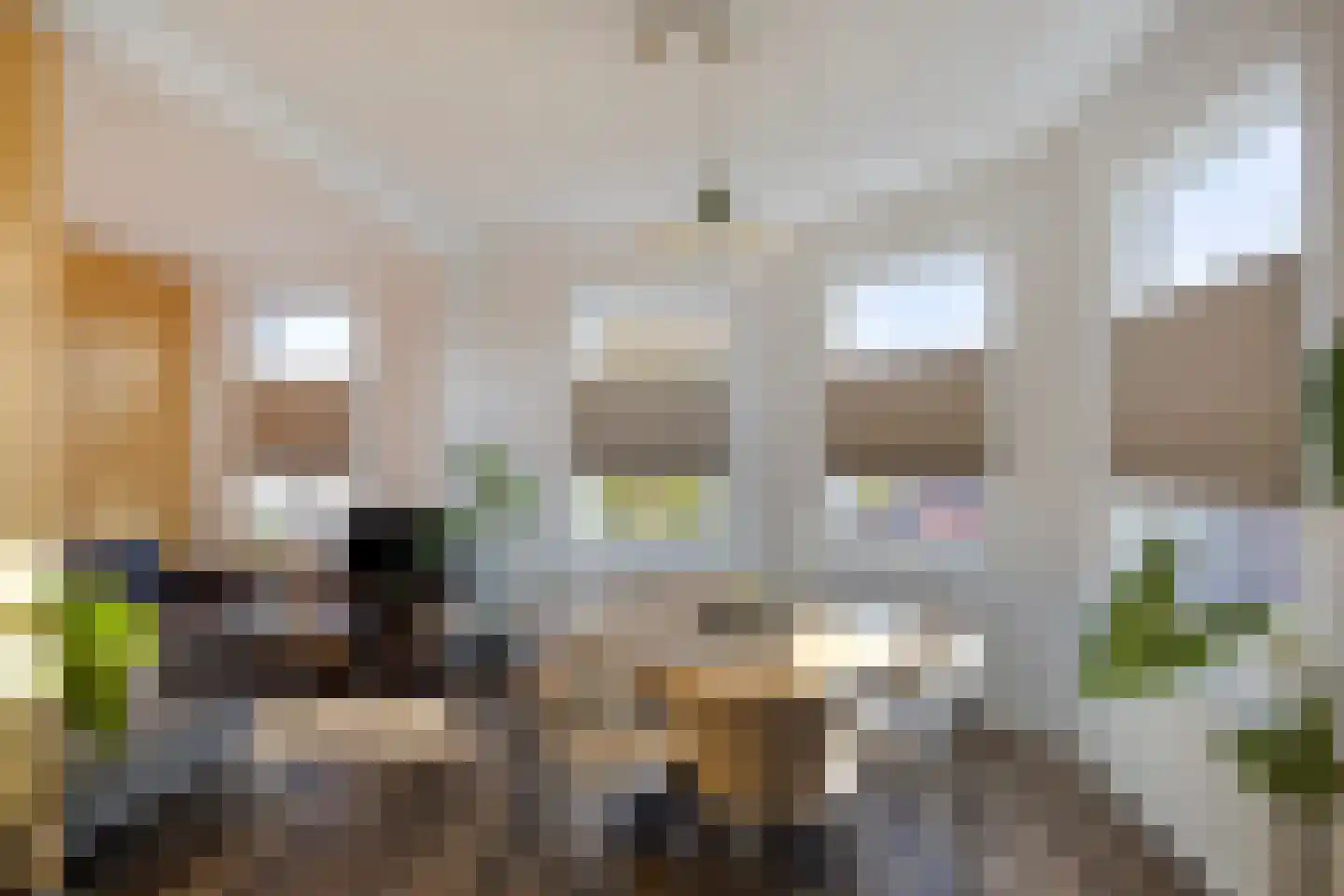 Hilversumsestraat 53 Den Haag thumbnail 5