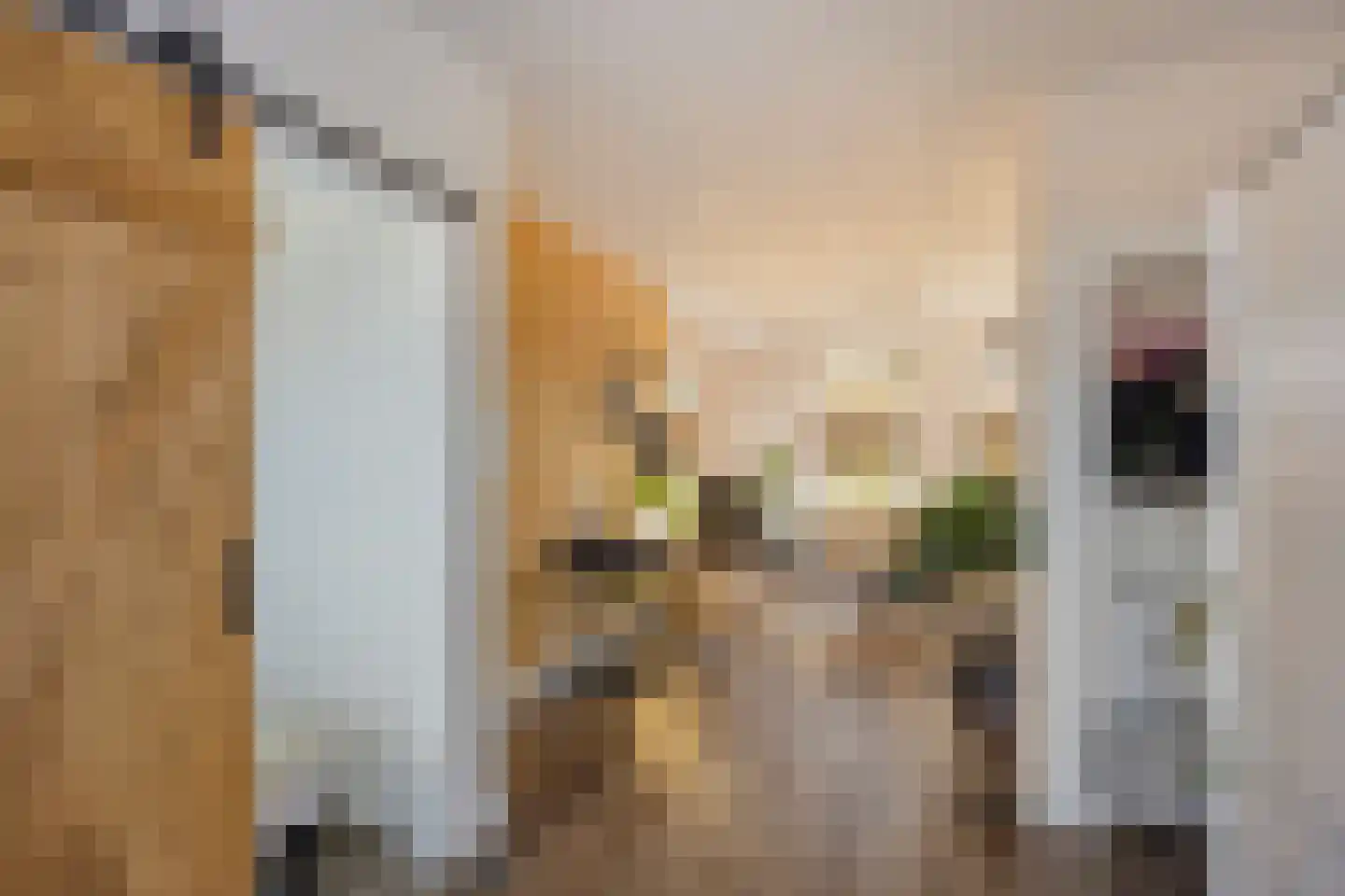 Hilversumsestraat 53 Den Haag thumbnail 6