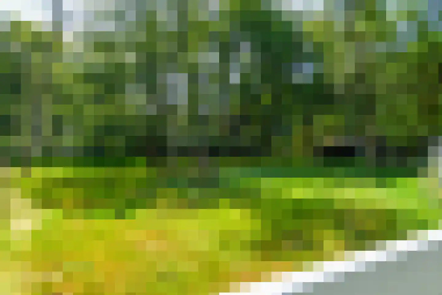 Hilversumsestraatweg 5 A Baarn thumbnail 80