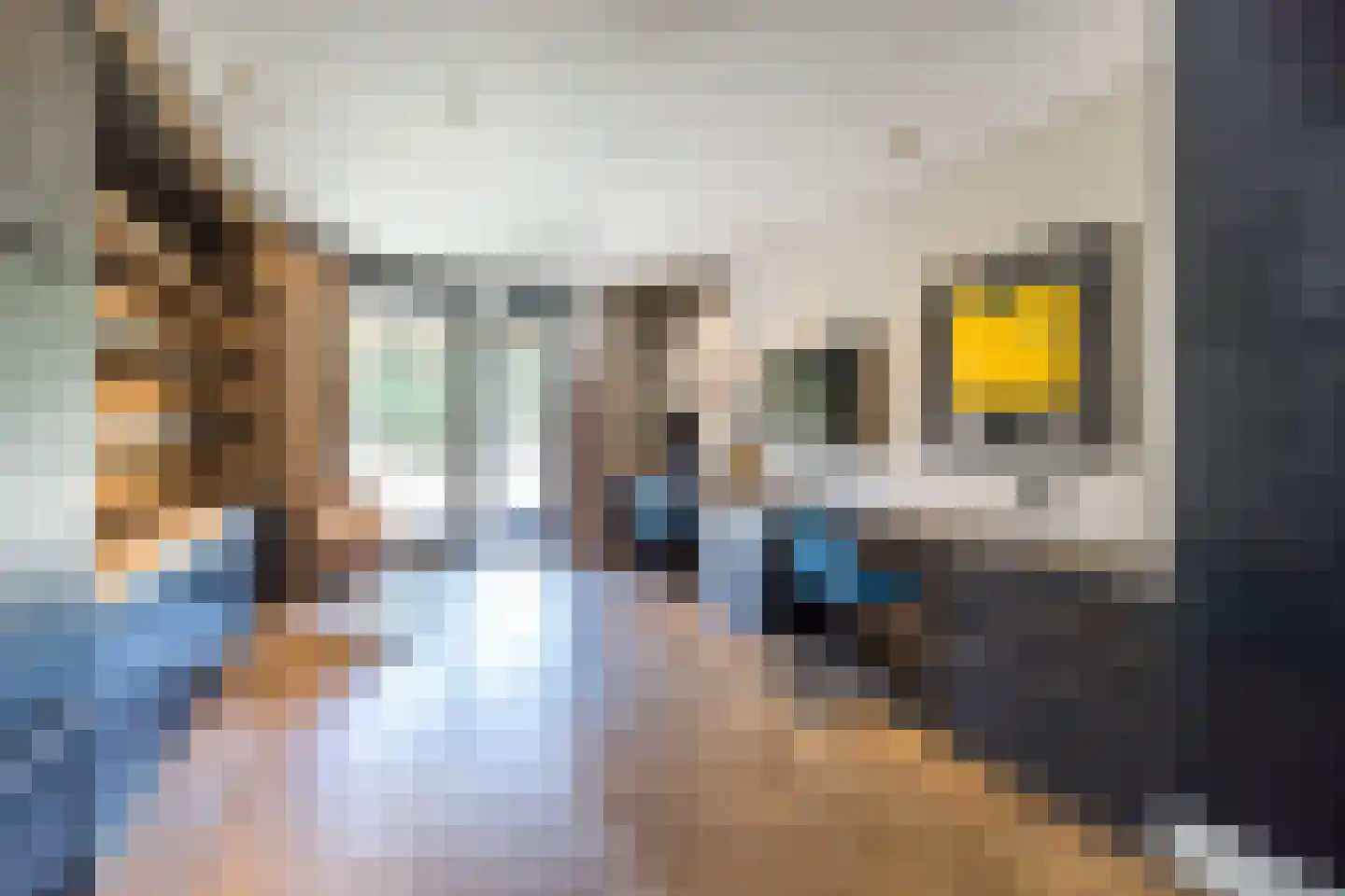 Hilversumseweg 10 Laren thumbnail 14