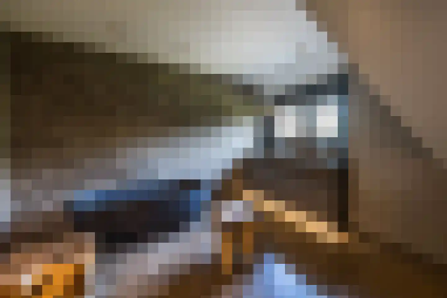 Hilversumseweg 10 Laren thumbnail 39