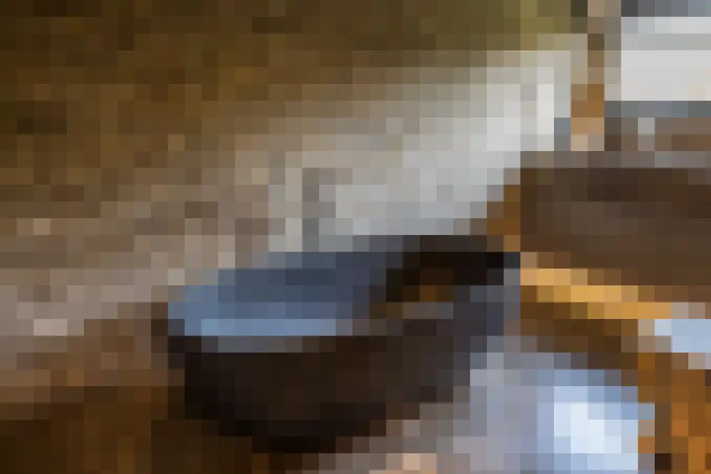 Hilversumseweg 10 Laren thumbnail 42