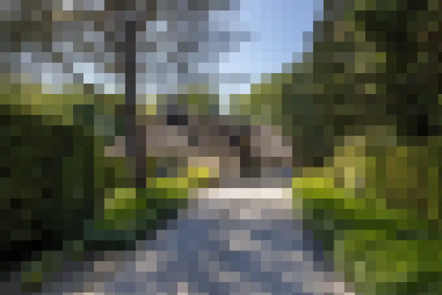 Hilversumseweg 10 Laren thumbnail 5