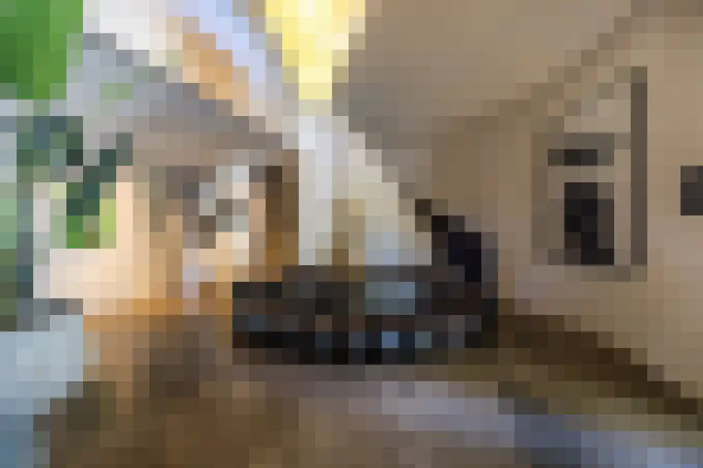 Hilversumseweg 10 Laren thumbnail 6