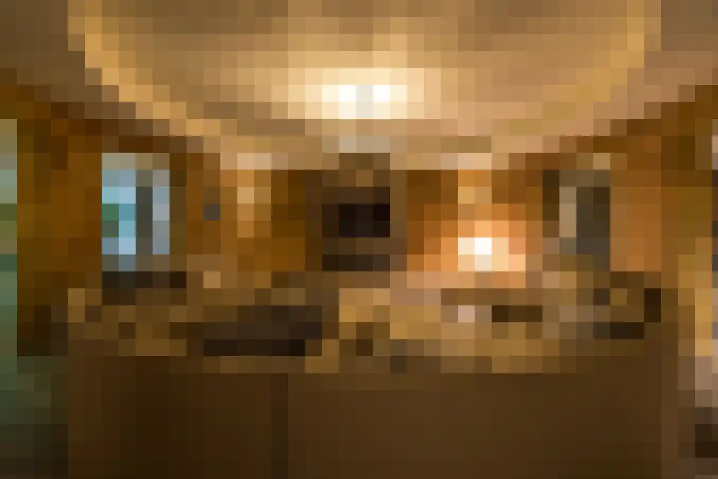 Hilversumseweg 10 Laren thumbnail 66