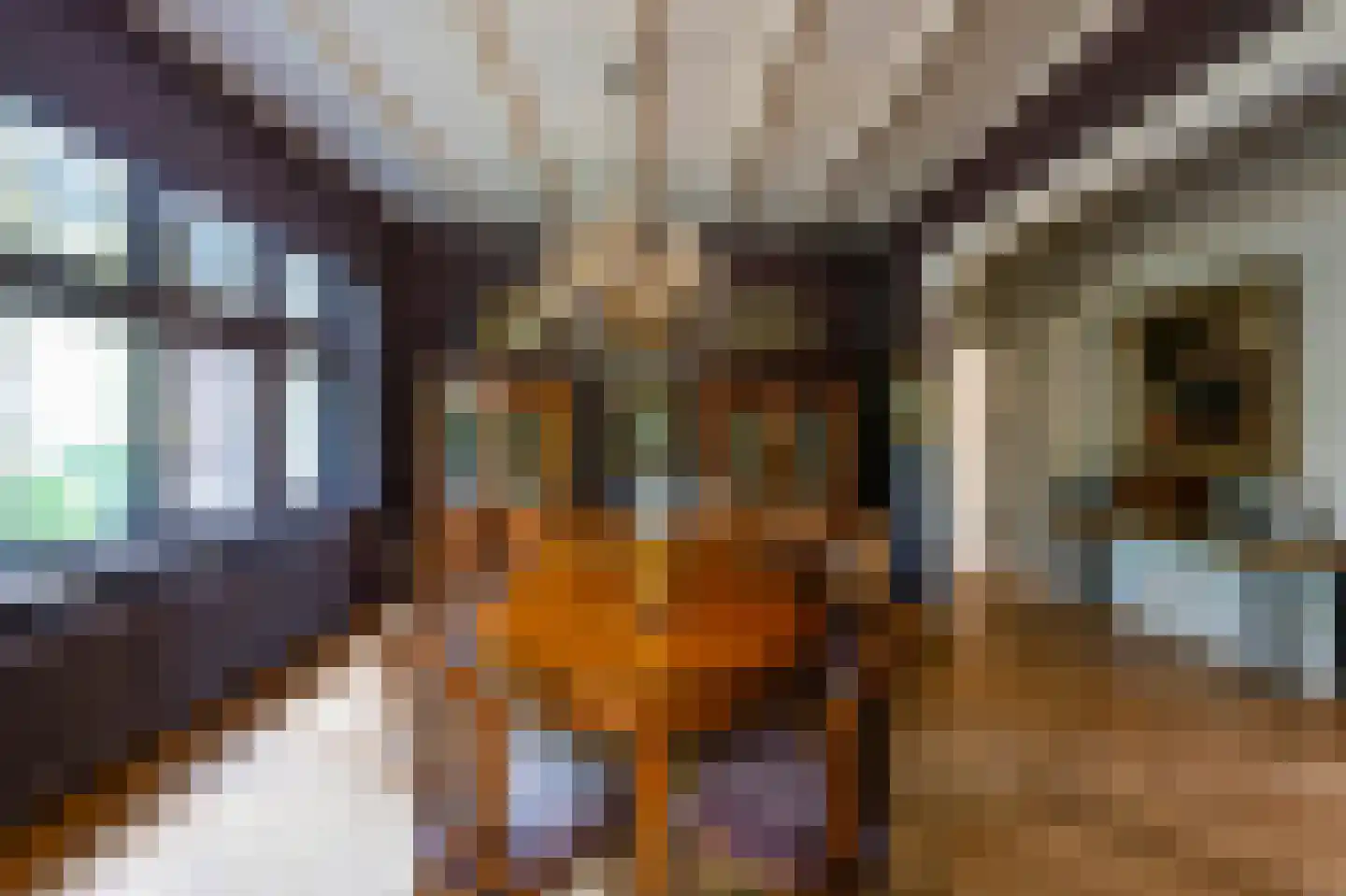 Hilversumseweg 4 Laren thumbnail 13
