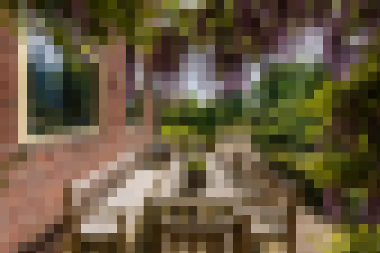Hilversumseweg 4 Laren thumbnail 50