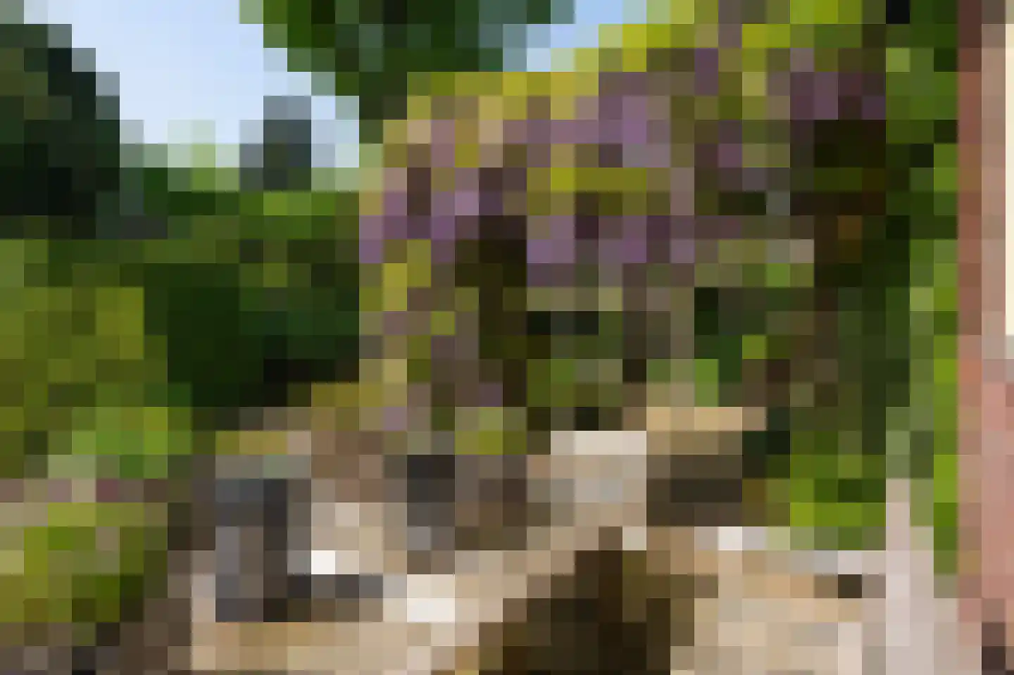 Hilversumseweg 4 Laren thumbnail 51