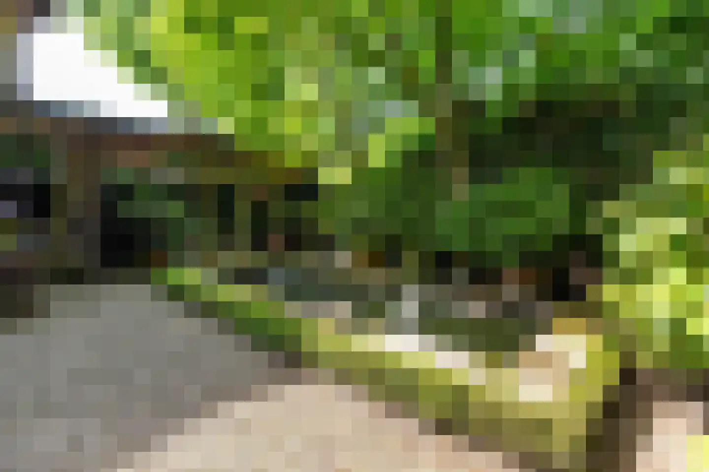 Hilversumseweg 4 Laren thumbnail 53