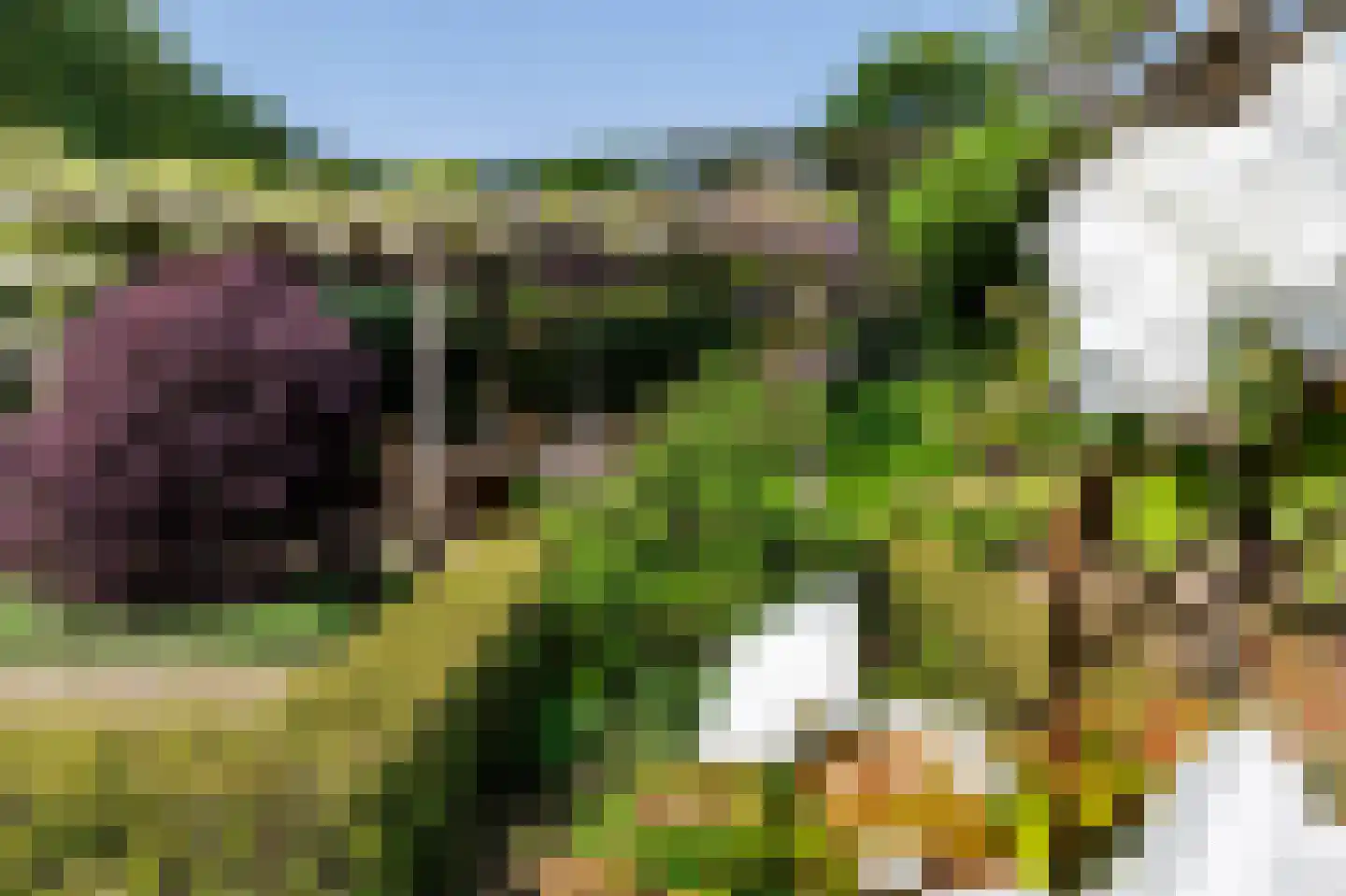 Hilversumseweg 4 Laren thumbnail 54
