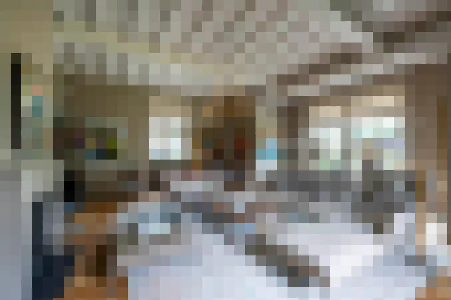 Hilversumseweg 4 Laren thumbnail 8