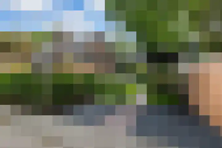 Hilversumseweg 9 Laren thumbnail 4