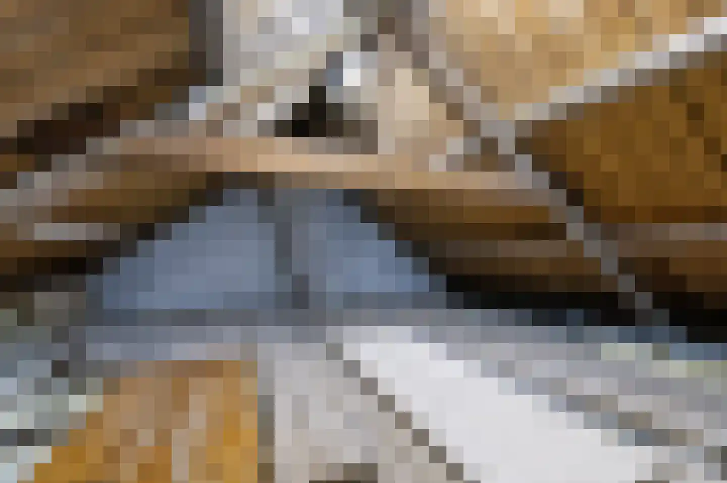Hilversumstraat 12 Tiel thumbnail 24