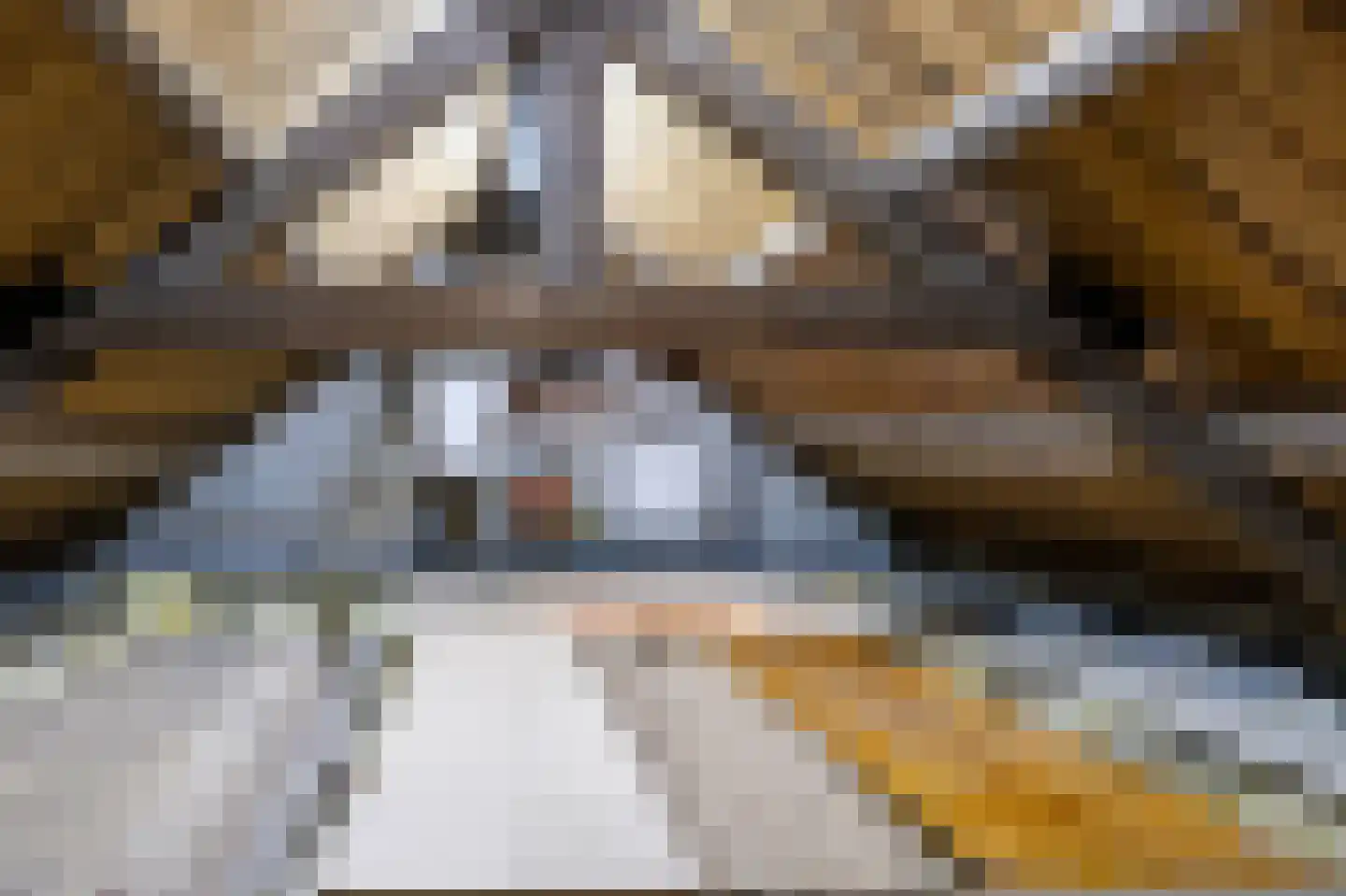 Hilversumstraat 12 Tiel thumbnail 25