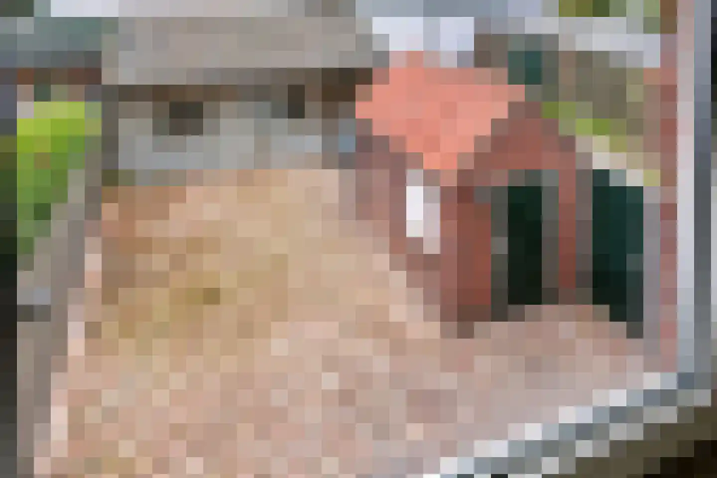 Hilversumstraat 12 Tiel thumbnail 26