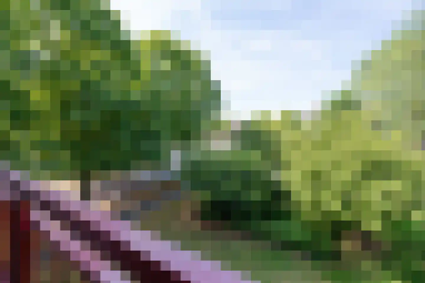 Hilversumstraat 21 Amsterdam thumbnail 13