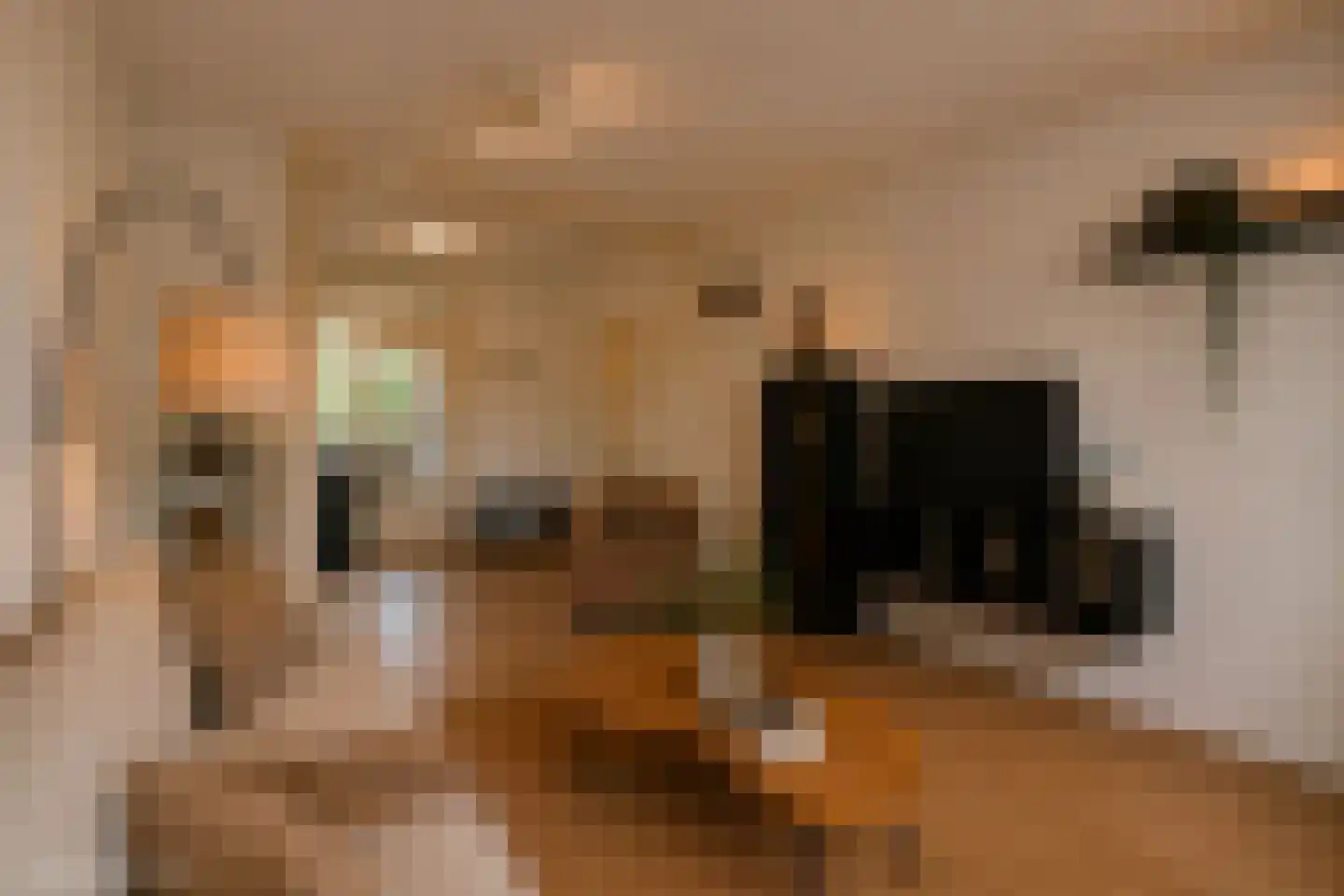 Hilversumstraat 21 Amsterdam thumbnail 8