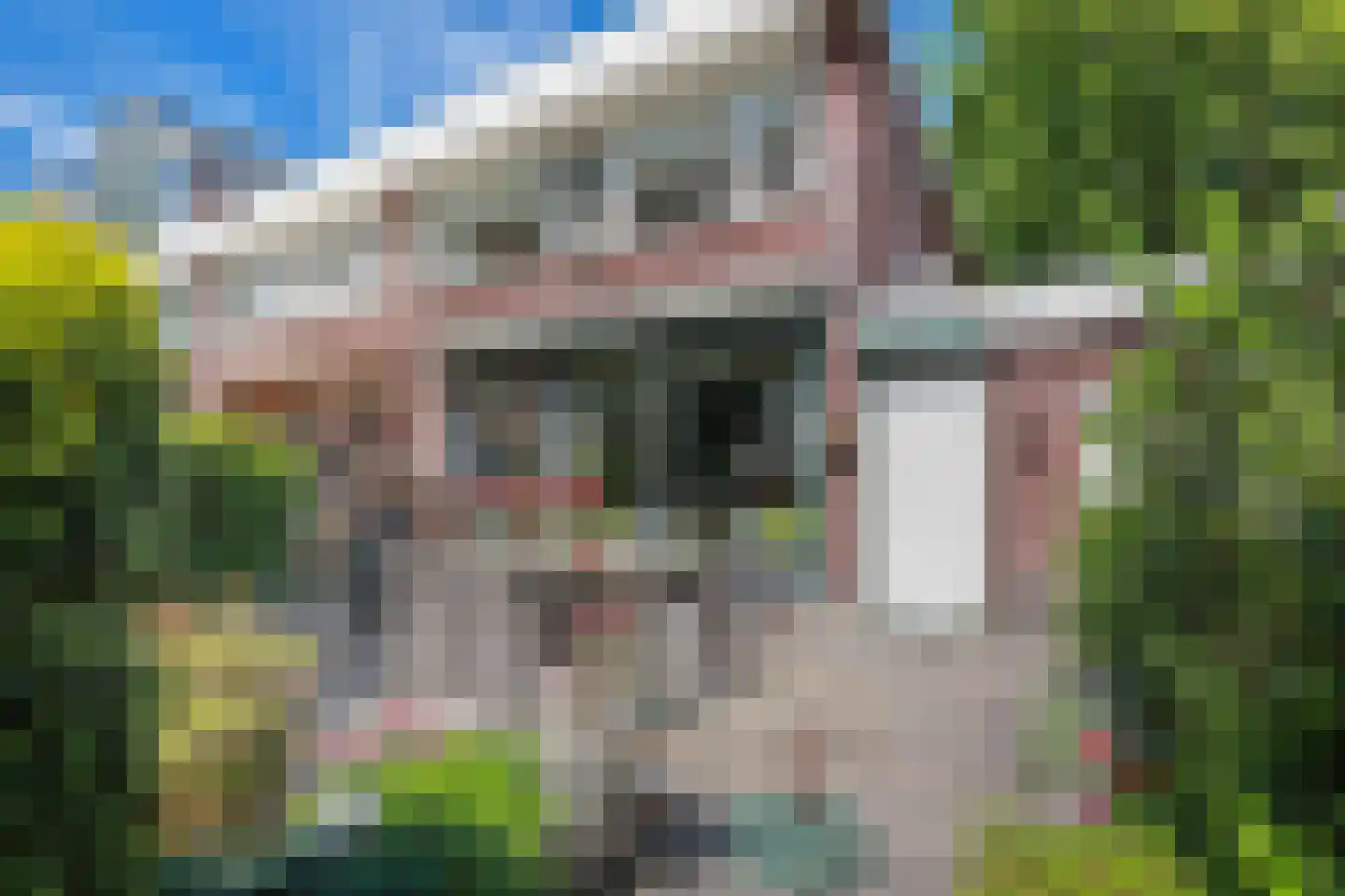 Hilversumstraat 60 Amsterdam thumbnail 31