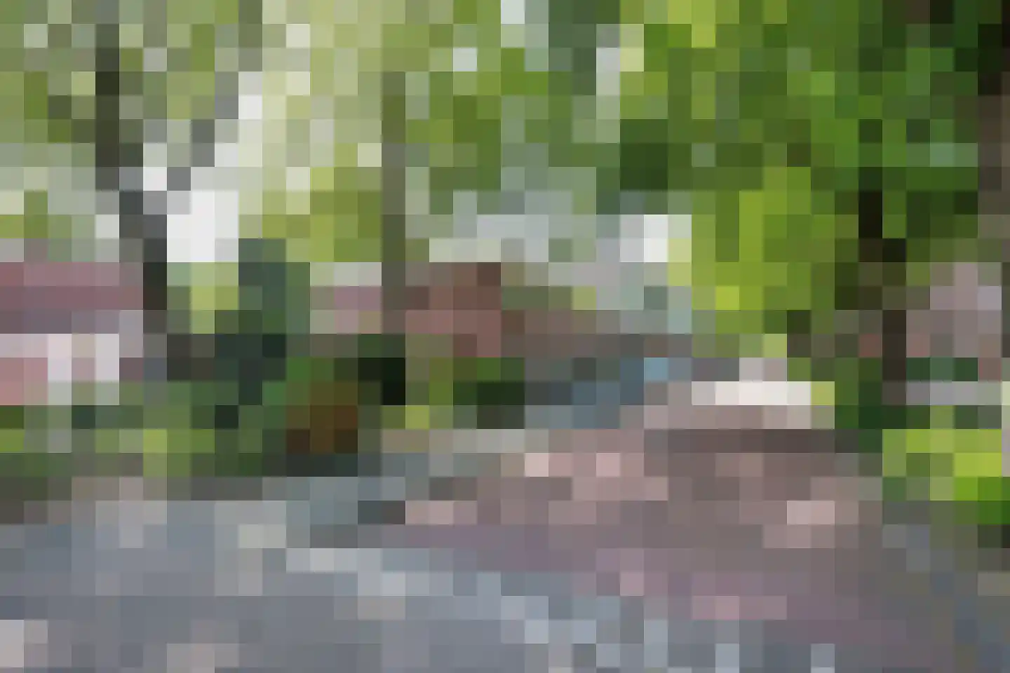 Hilversumstraat 60 Amsterdam thumbnail 32