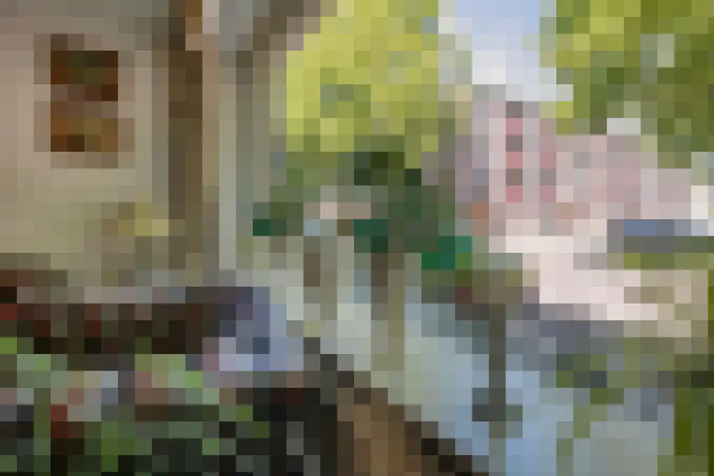 Hilversumstraat 60 Amsterdam thumbnail 4