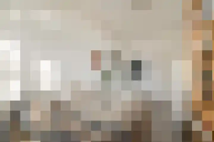 Hilversumstraat 79 Amsterdam thumbnail 12