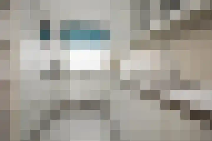 Hilversumstraat 8 Amsterdam thumbnail 15