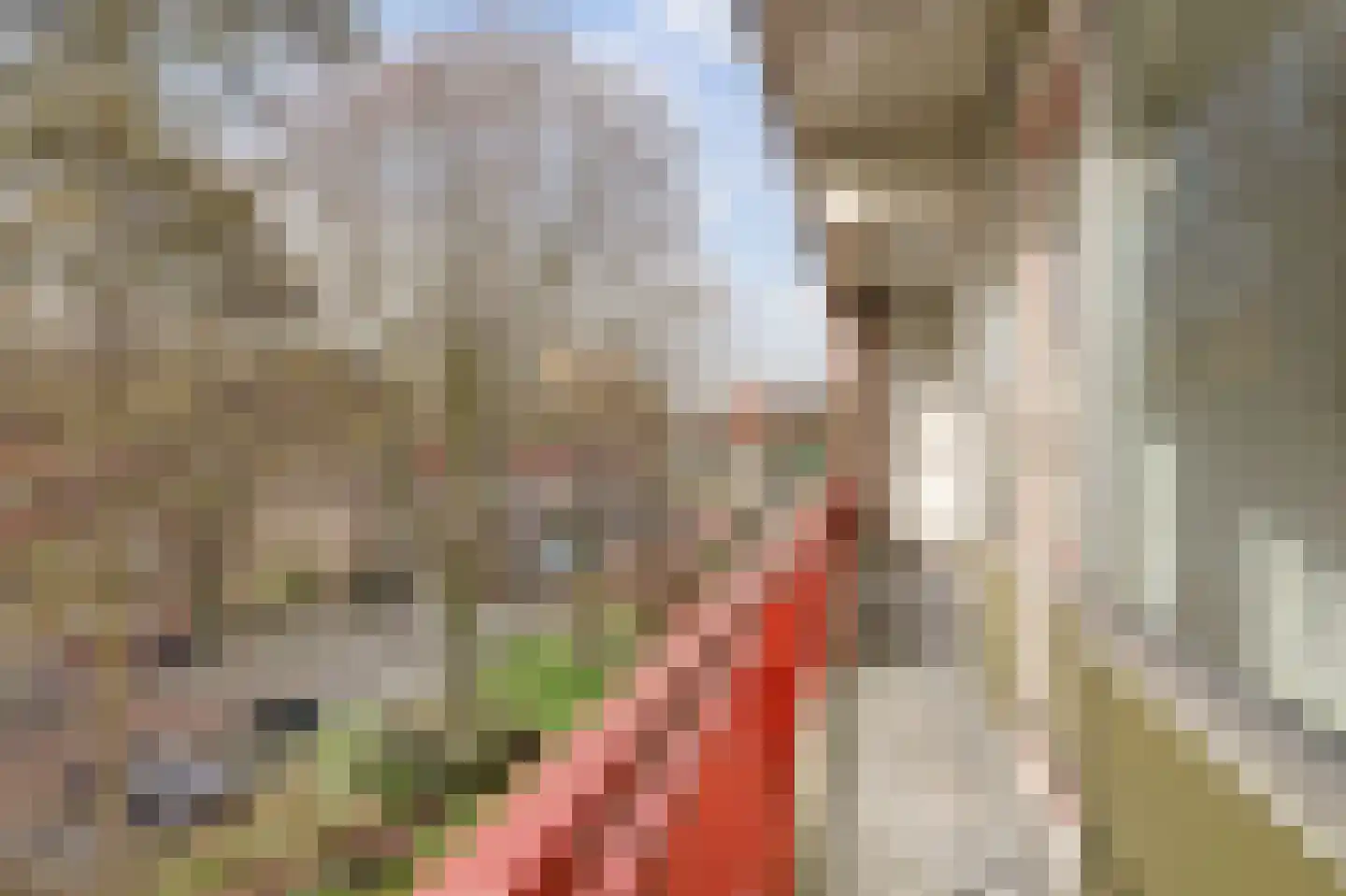 Hilversumstraat 97 Amsterdam thumbnail 28