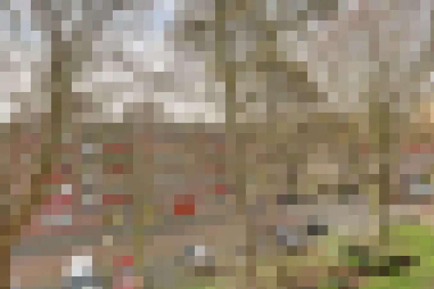 Hilversumstraat 97 Amsterdam thumbnail 33