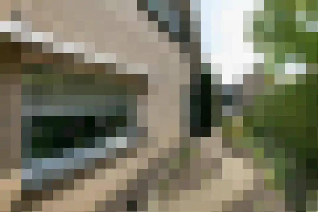 Hilversweg 12 Neede thumbnail 20