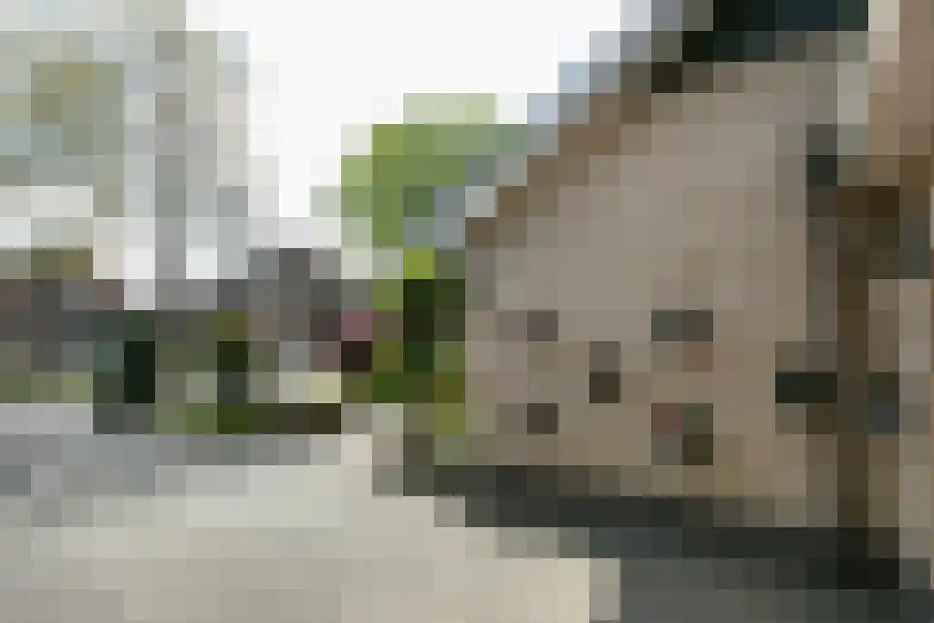 Hilversweg 12 Neede thumbnail 25