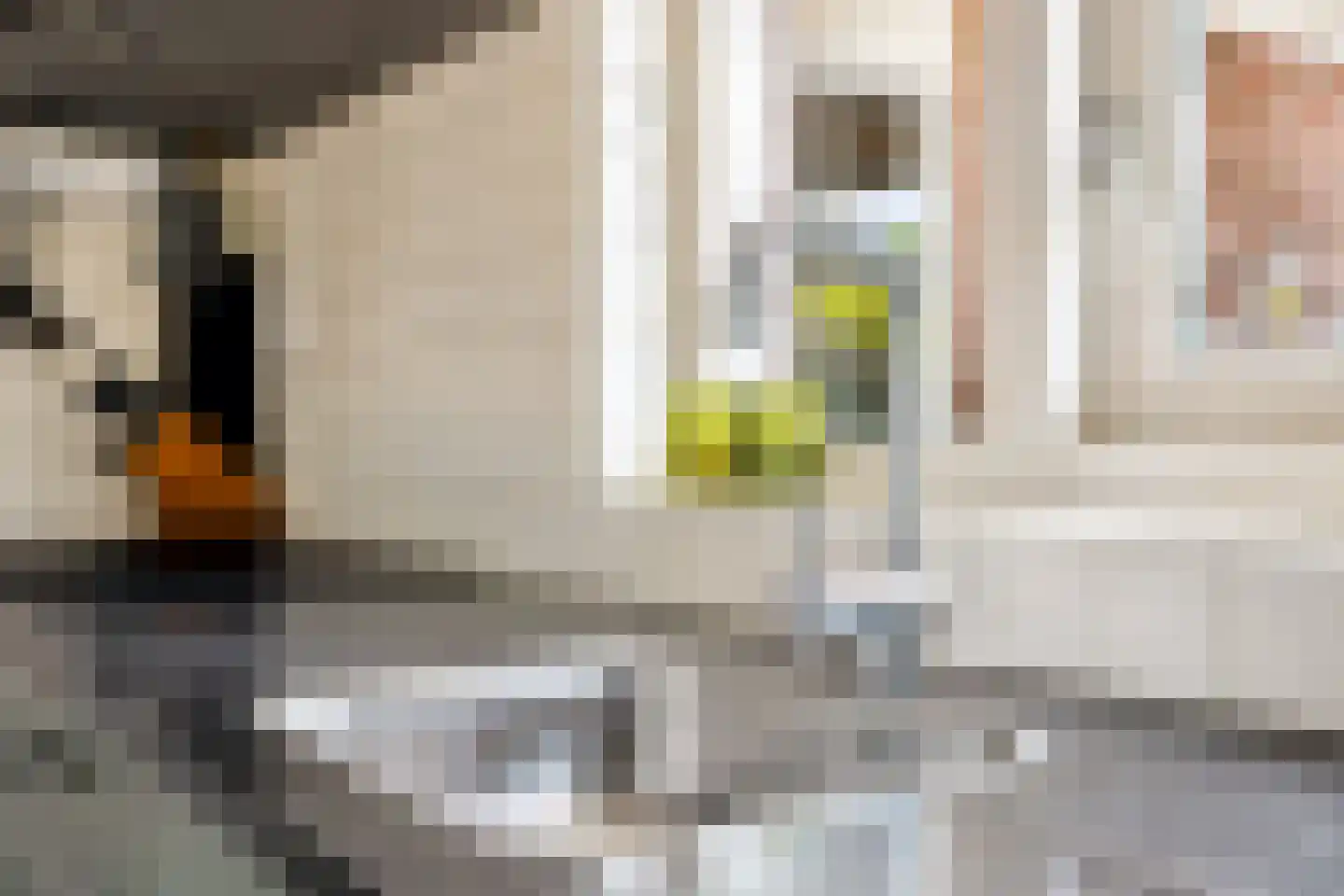 Hilversweg 13 Neede thumbnail 17