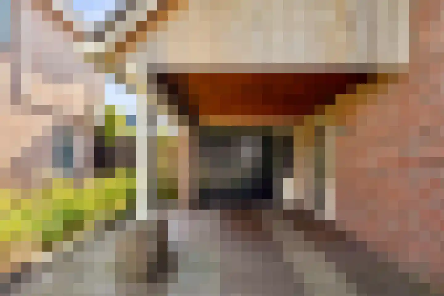 Hilversweg 13 Neede thumbnail 53