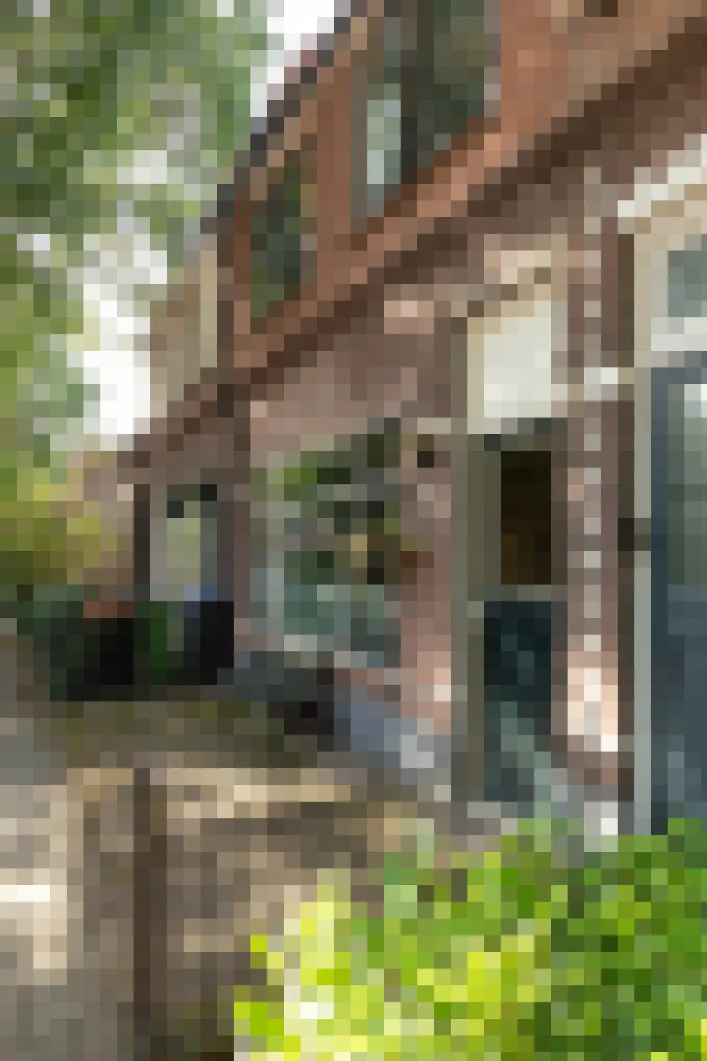 Hilvertsweg 48 Hilversum thumbnail 11