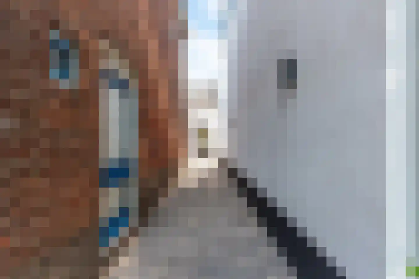 Hilvertsweg 89 Hilversum thumbnail 44