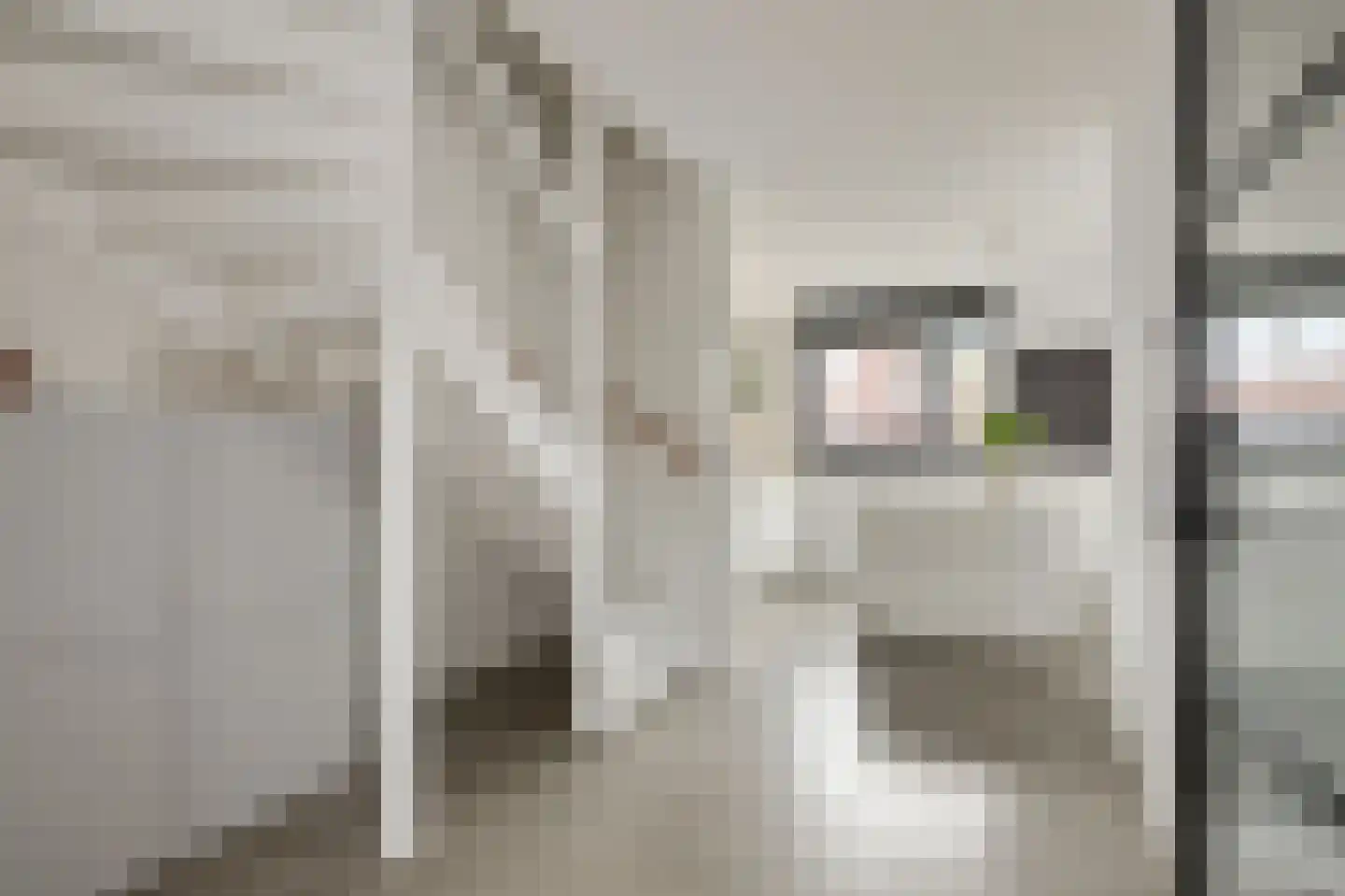 Himalaya 1 Assendelft thumbnail 15