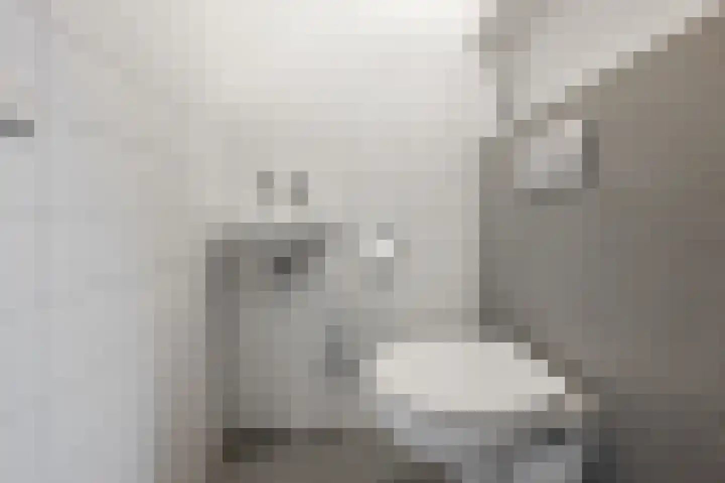 Himalaya 1 Assendelft thumbnail 21