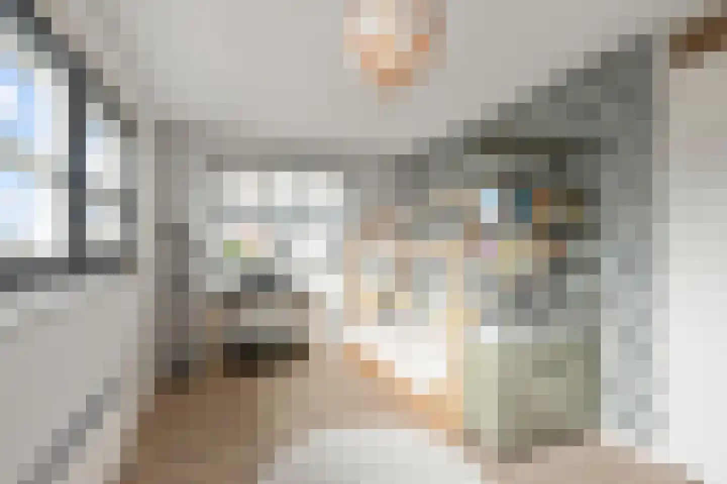 Himalaya 1 Assendelft thumbnail 25