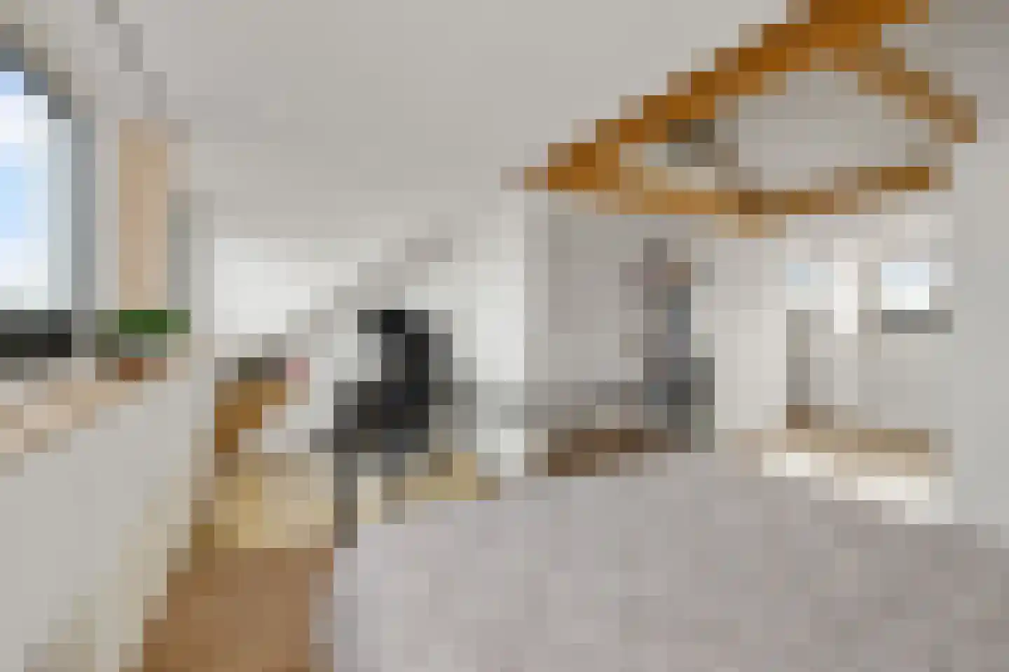 Himalaya 1 Assendelft thumbnail 31