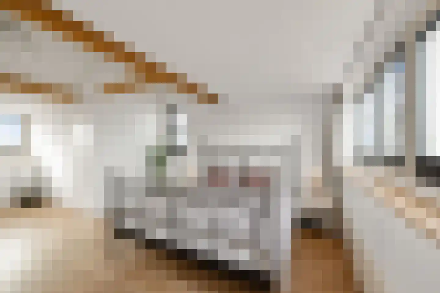 Himalaya 1 Assendelft thumbnail 32