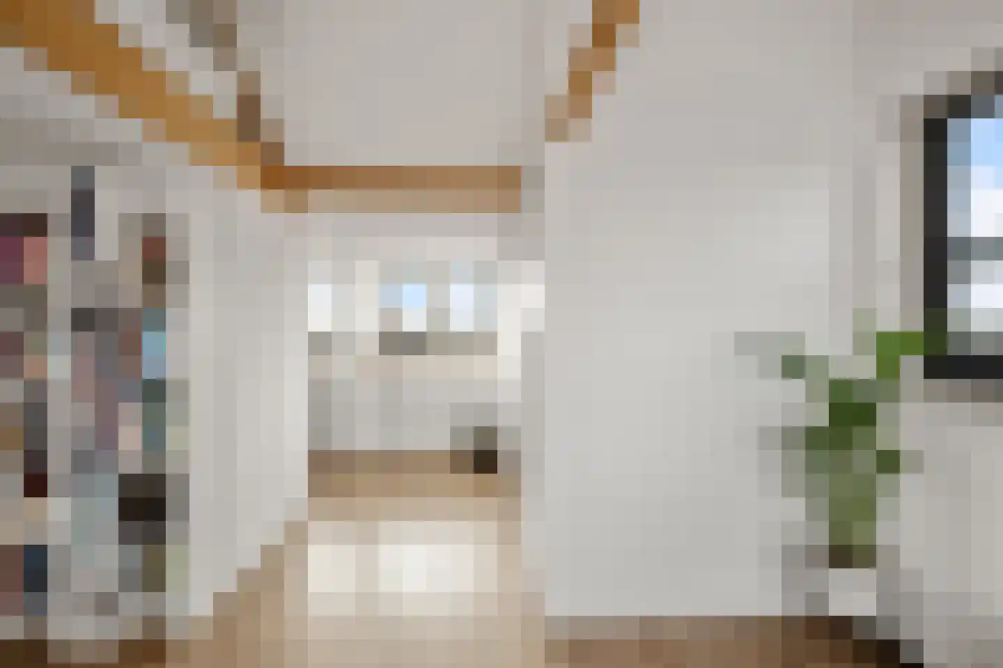 Himalaya 1 Assendelft thumbnail 33