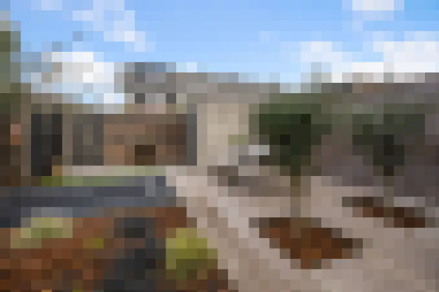 Himalaya 1 Assendelft thumbnail 38