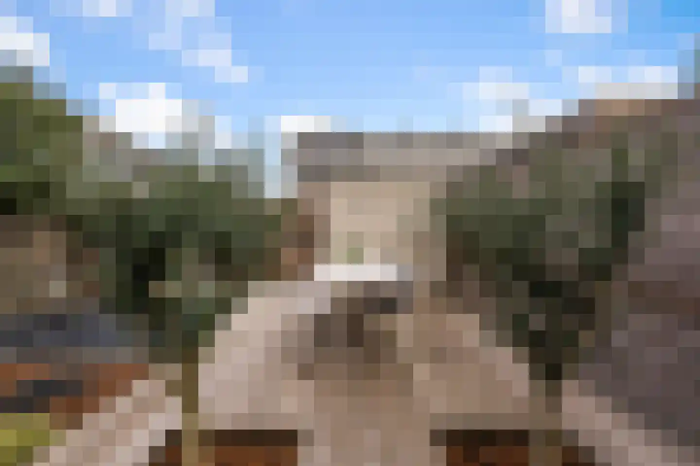 Himalaya 1 Assendelft thumbnail 39